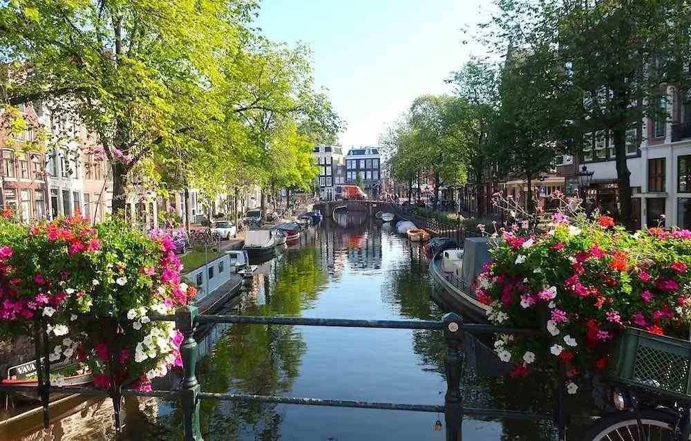 Flower-lined Amsterdam canal, a setting for a wedding rickshaw ride